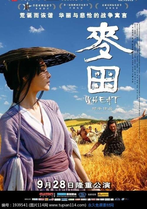 国际飞行驾照费用新规定